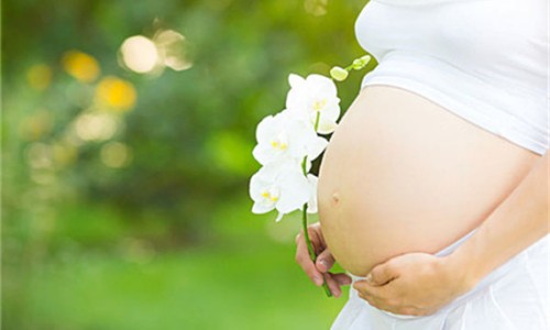 孕妇可以用煤气灶炒菜吗-孕妇能用煤气灶吗网孕妇用煤气灶辐射大吗知识网站,分享孕妇可以用煤气罐做饭吗大全